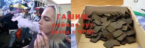 хмурый Арсеньев