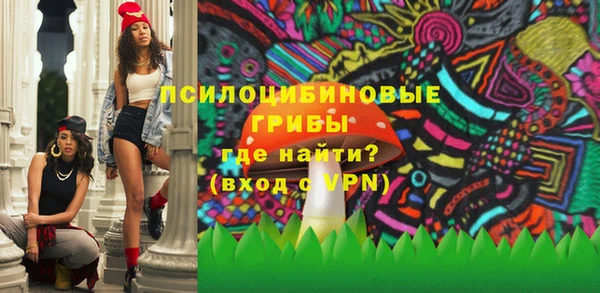 хмурый Арсеньев