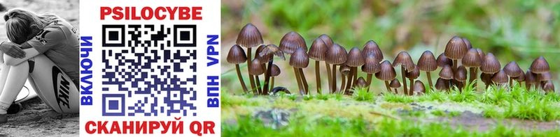 Псилоцибиновые грибы MAGIC MUSHROOMS  OMG зеркало  Раменское 